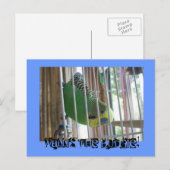 Wallis de Boedgie! Briefkaart (Voorkant / Achterkant)