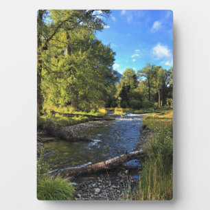 Wallowa Lake State Park, OR Fotoplaat