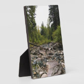 Wallowa, OF Fotoplaat (Zijkant)