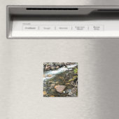 Wallowa, OF Magneet (Insitu (Vaatwasser))