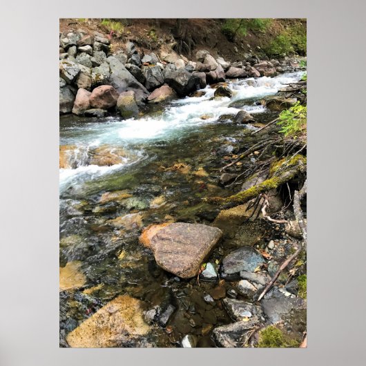 Wallowa, OF Poster (Voorkant)
