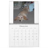 Wally The Wonder Dog 2009 Kalender (Feb 2026)