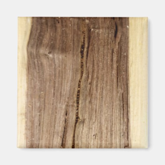 Walnootmagneet Magneet (Voorkant)