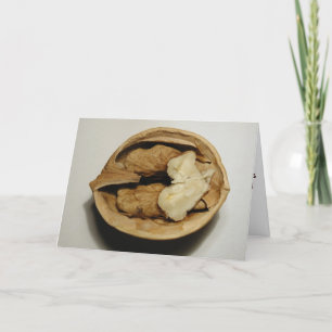 Walnoten wenskaart kaart