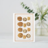 Walnut Botanische Illustratie Waterverf Briefkaart (Staand voorkant)