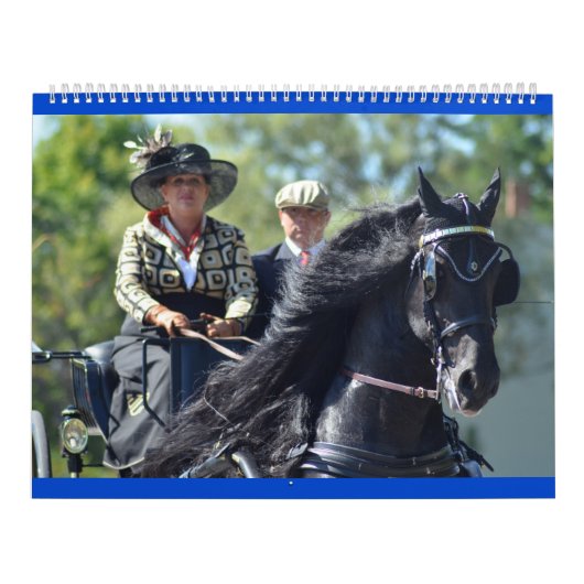 Walnut Hill Carriage Driving Horse Show Kalender (Hoes)