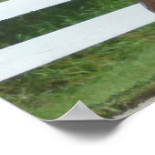 Walnut Hill Carriage Driving Horse Show Poster (Hoek)