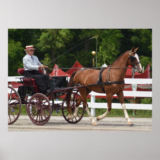 Walnut Hill Carriage Driving Horse Show Poster (Voorkant)