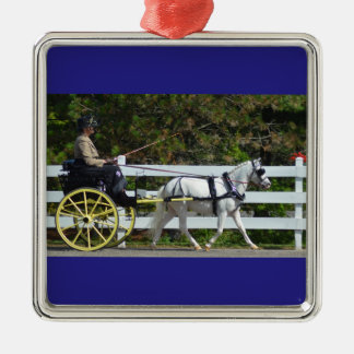 Walnut Hill Carriage Driving Show 2015 Metalen Ornament