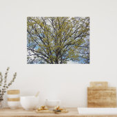 Walnut Tree Poster (Cuisine)