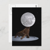 Walrus balanceert de maan briefkaart (Voorkant / Achterkant)