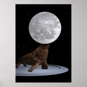 Walrus balanceert de maan poster