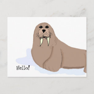 Walrus Cartoon Briefkaart