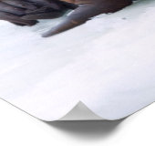 Walrus cow and calf rest on a sea ice floe poster (Hoek)