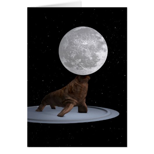 Walrus Équilibrer La Lune (Devant)