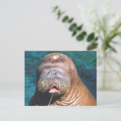 Walrus Eyes Carte postale fermée (Debout devant)