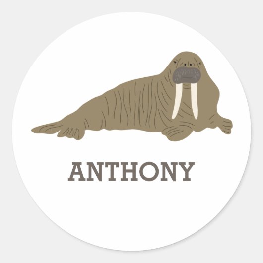 Walrus Graphic Realistic Style Illustratie Ronde Sticker (Voorkant)
