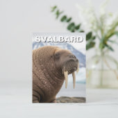 Walrus in Svalbard Norway Briefkaart (Staand voorkant)