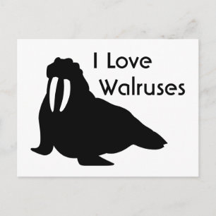 Walrus Love Briefkaart