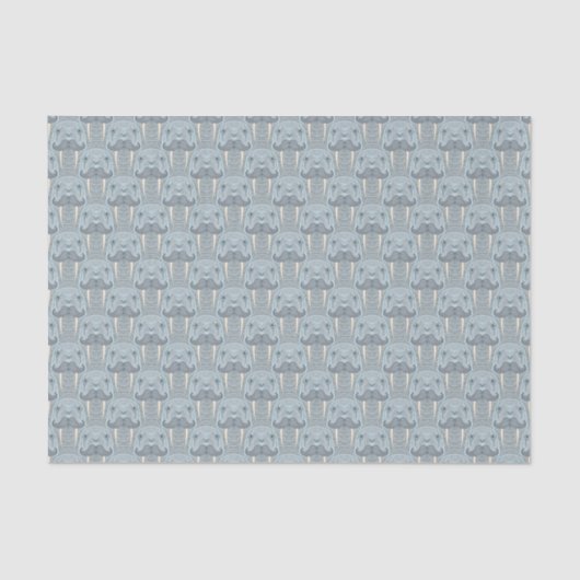 Walrus Mustache Pattern Tissuepapier (Voorkant)