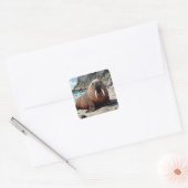 Walrus on a Sandy Beach | Cute Animals Vierkante Sticker (Envelop)