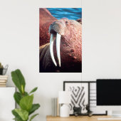 Walrus Poster (Thuiskantoor)