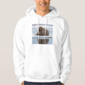 Walrus rust op ijs, Noorwegen Hoodie (Voorkant)