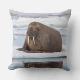 Walrus rustend op ijs, Noorwegen Kussen