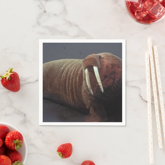 Walrus Servetten (Insitu)