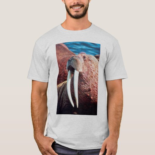 Walrus T-shirt (Voorkant)