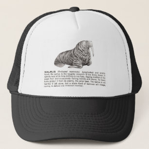 walrus trucker pet