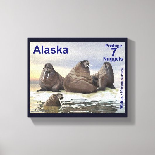Walrus - Vier Broers - Alaska Postage Canvas Afdruk (Voorkant)