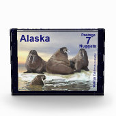 Walrus - Vier Broers - Alaska Postage Fotoblokken (Voorkant)