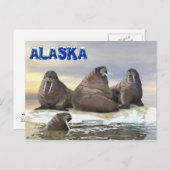 Walrus - Vier Broers Briefkaart (Voorkant / Achterkant)