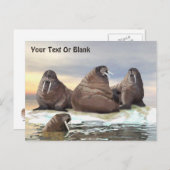 Walrus - Vier Broers Briefkaart (Voorkant / Achterkant)