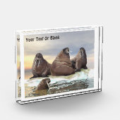 Walrus - Vier Broers Fotoblokken (Links)