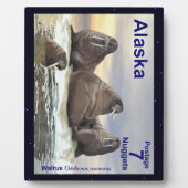 Walrus - Vier Broers Fotoplaat (Voorkant)