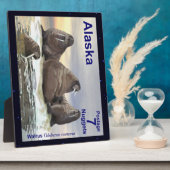 Walrus - Vier Broers Fotoplaat (Zijkant)