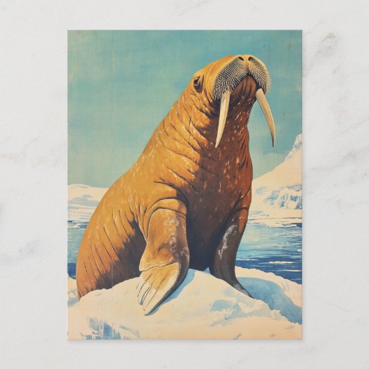 Walrus-vintage Briefkaart (Voorkant)