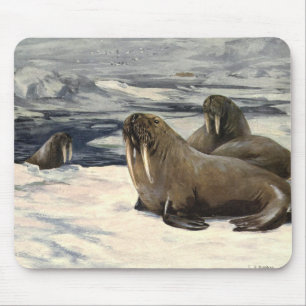 Walrussen in de Arctische Sneeuw, Oude Zeedier Muismat