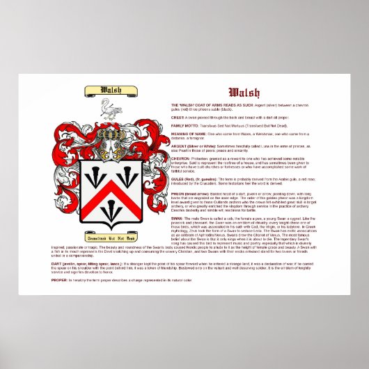 Walsh (betekenis) poster (Voorkant)