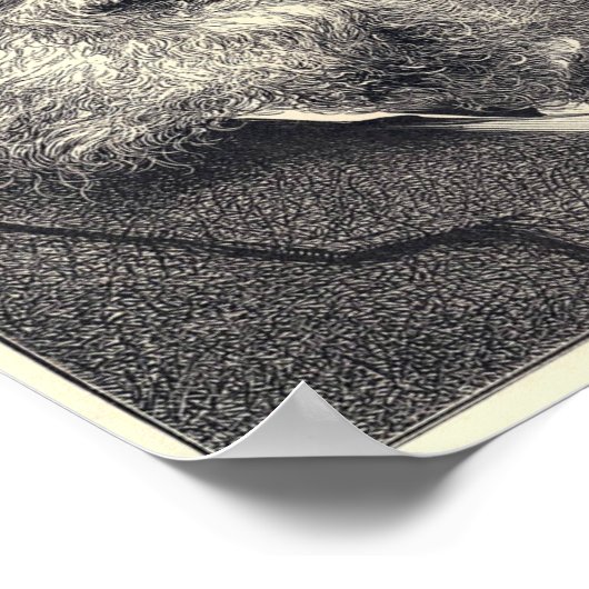 Walt Whitman Engraving, leeftijd 52 Poster (Hoek)