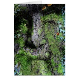 "Walt Whitman : L'homme vert"