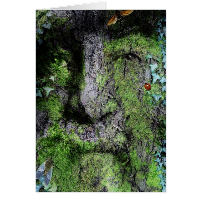 "Walt Whitman : L'homme vert" (Devant)
