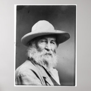 Walt Whitman Portrait ook bekend als The Quaker Ph Poster