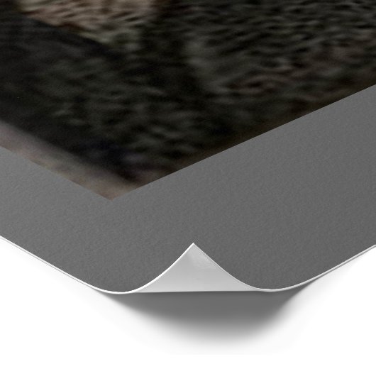 Walt Whitman - Portrait Poster (Hoek)