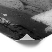 Walt Whitman Poster (Hoek)