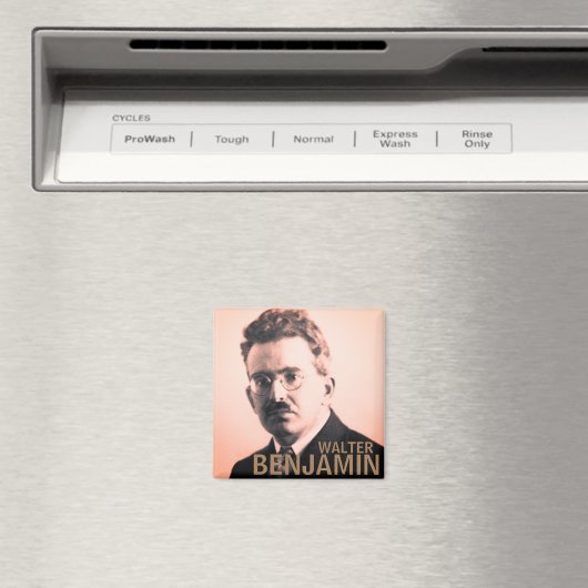 Walter Benjamin Magneet (Insitu (Vaatwasser))