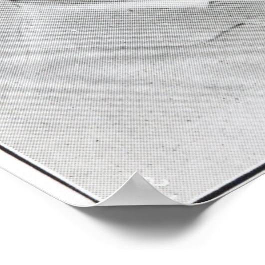 Walter Pater Poster (Hoek)