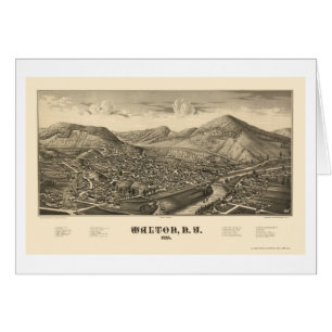 Walton, carte panoramique de NY - 1887